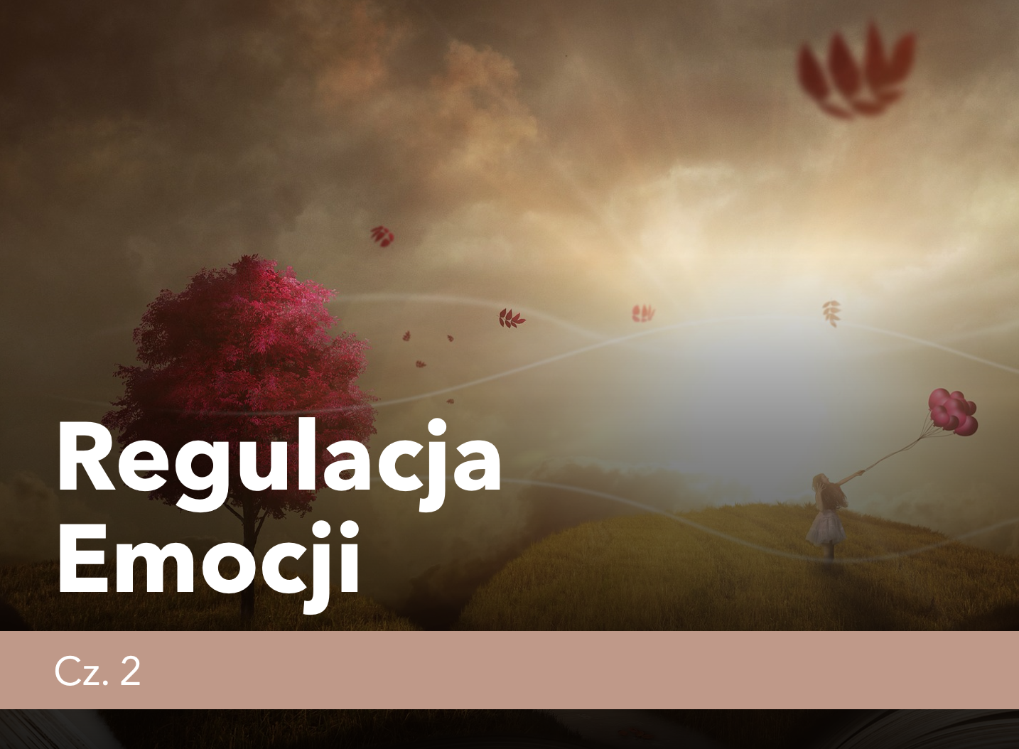 Regulacja Emocji – inna perspektywa cz.&nbsp;2